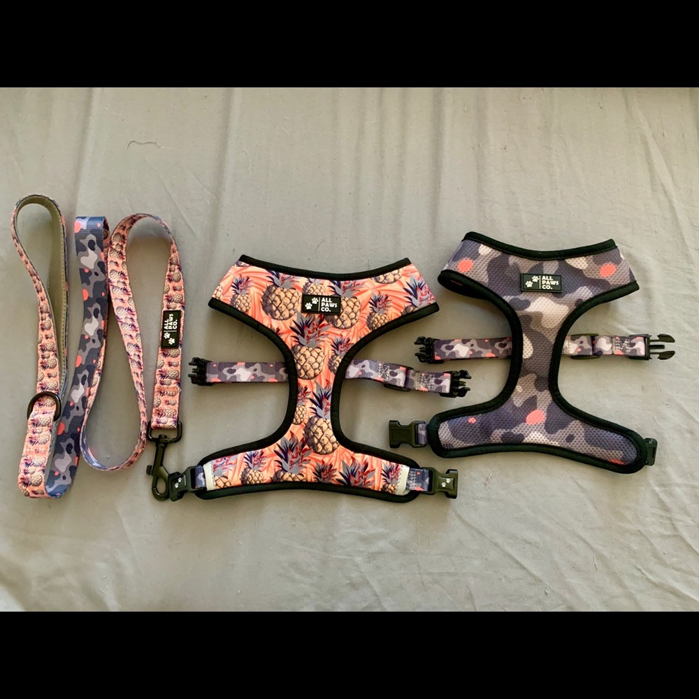 Reversible Dog Harness and Leash Bundle